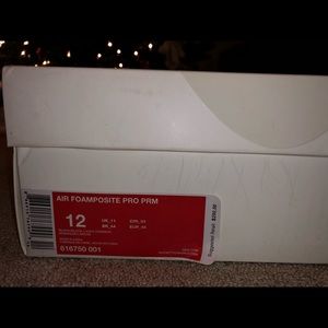 Jordan 11 UGOF/ Foamposite Yeezy